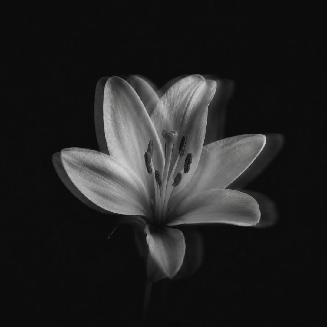 e.xyehr.cn