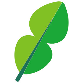 limeleaf.coop